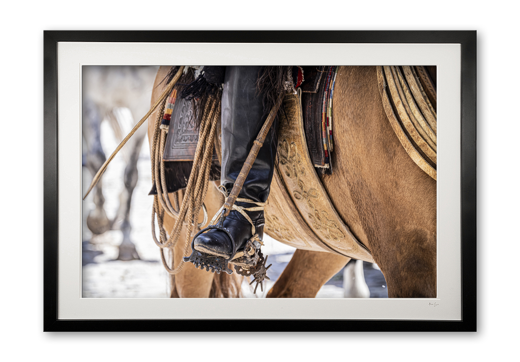120_n__criollo_silver_stirrup_vi_framed_0e5a9716