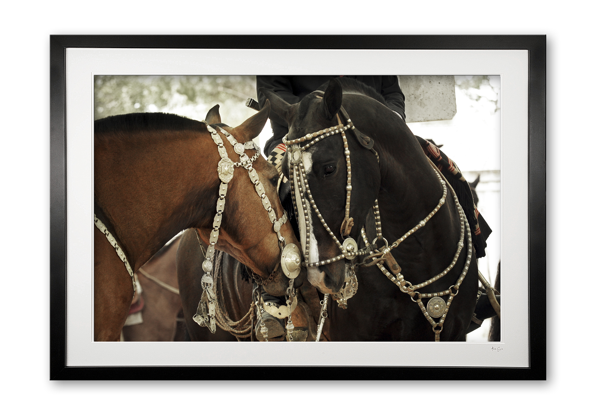 123__areco_festival_iv_e56g9253_framed