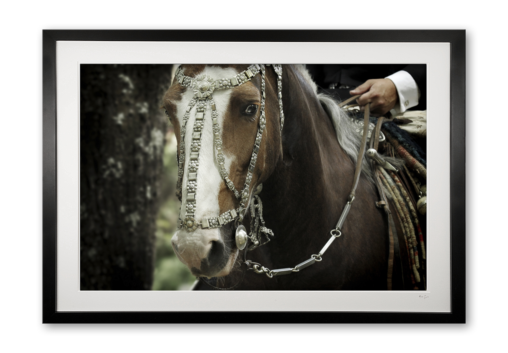 124__areco_festival_v_e56g9287_framed