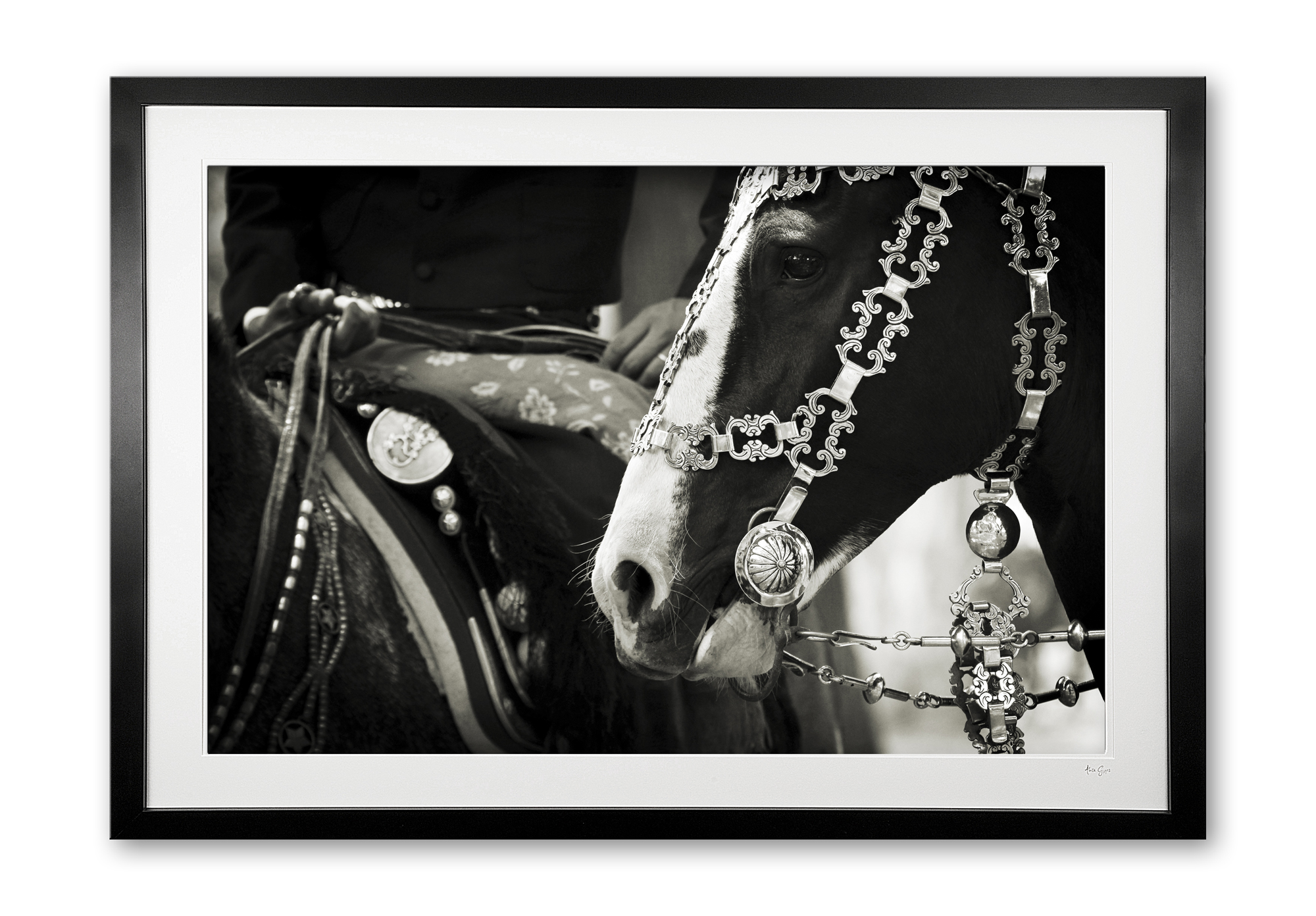 126_e__antique_bridle_v_e56g9400_sepia_framed
