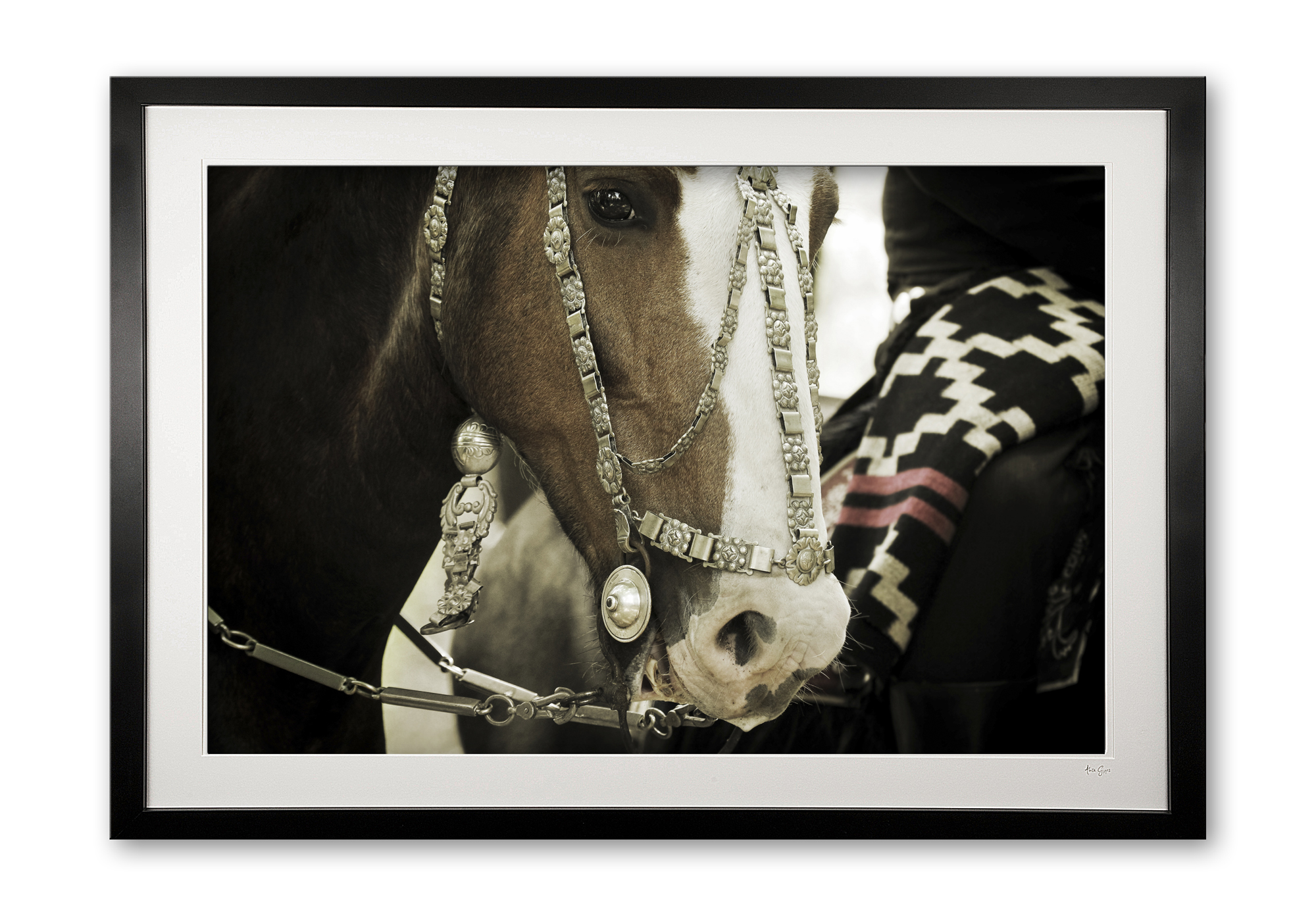 127_a__antique_bridle_vi_e56g9346_fade_framed