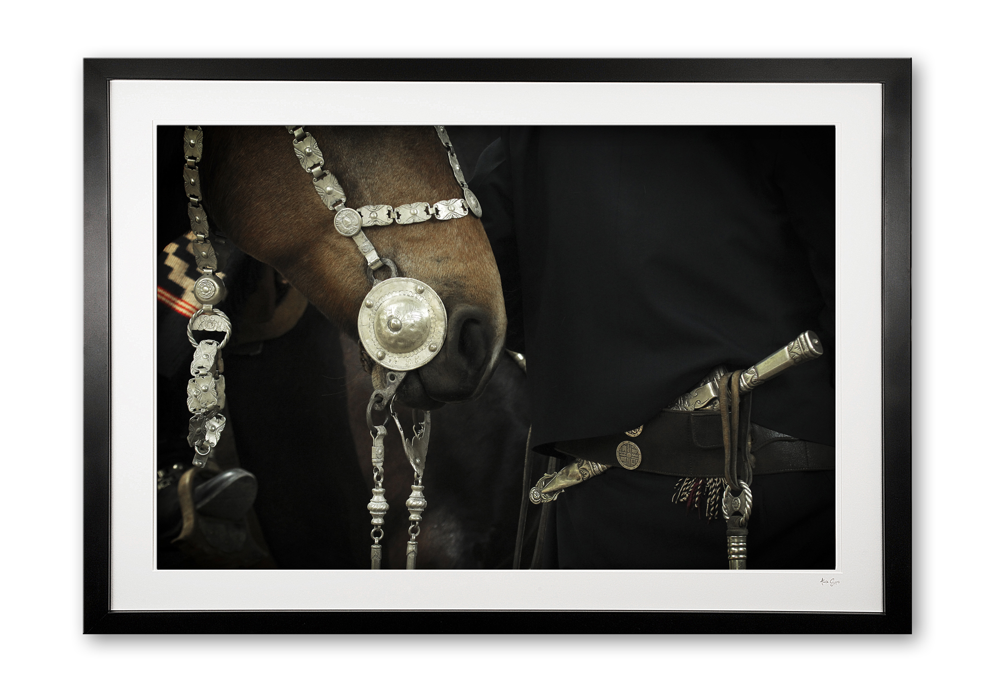 127_b__silver_facon_i_e56g9280_framed