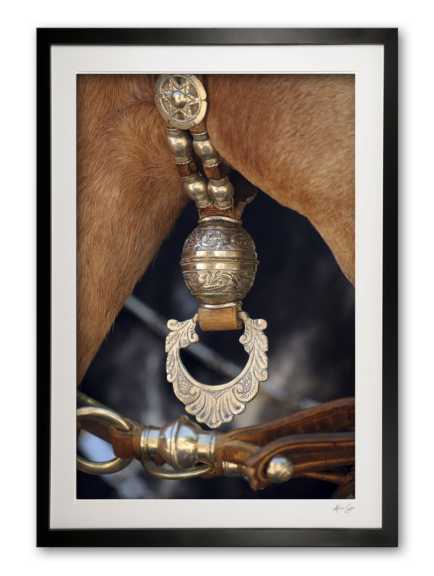 127_c__silver_fiador_e56g3614_framed