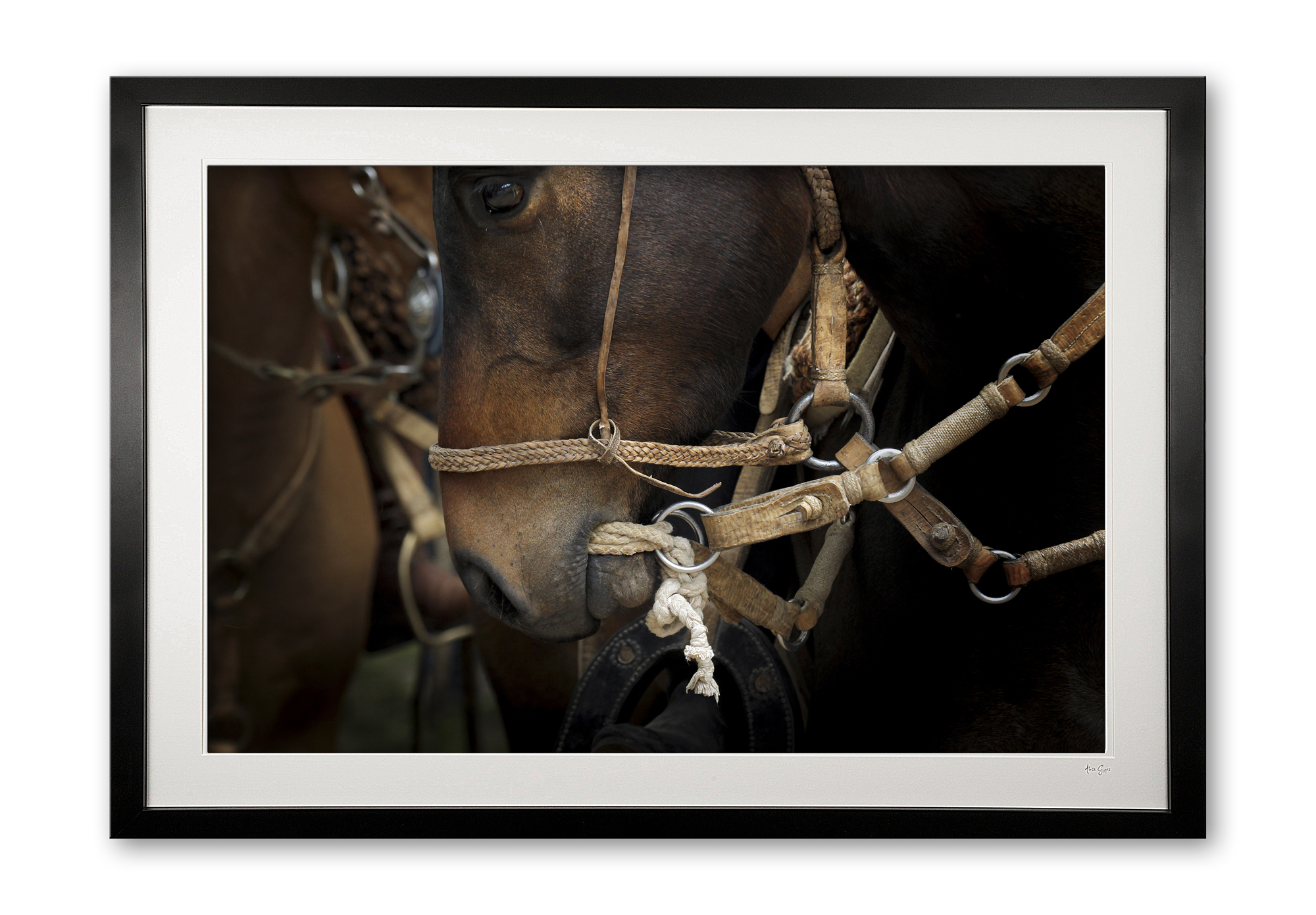 130__bocado_bridle_i_e56g9498_framed