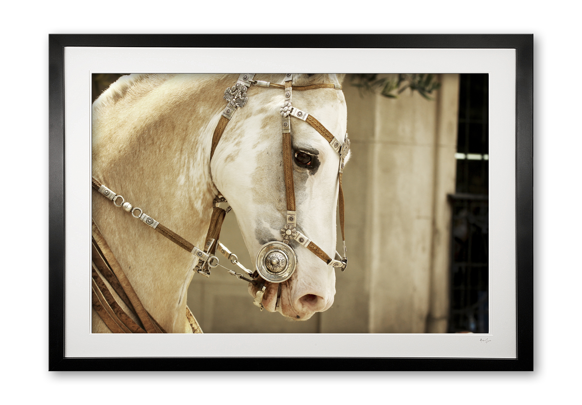 132_a__pretty_palamino_i_e56g9765_framed