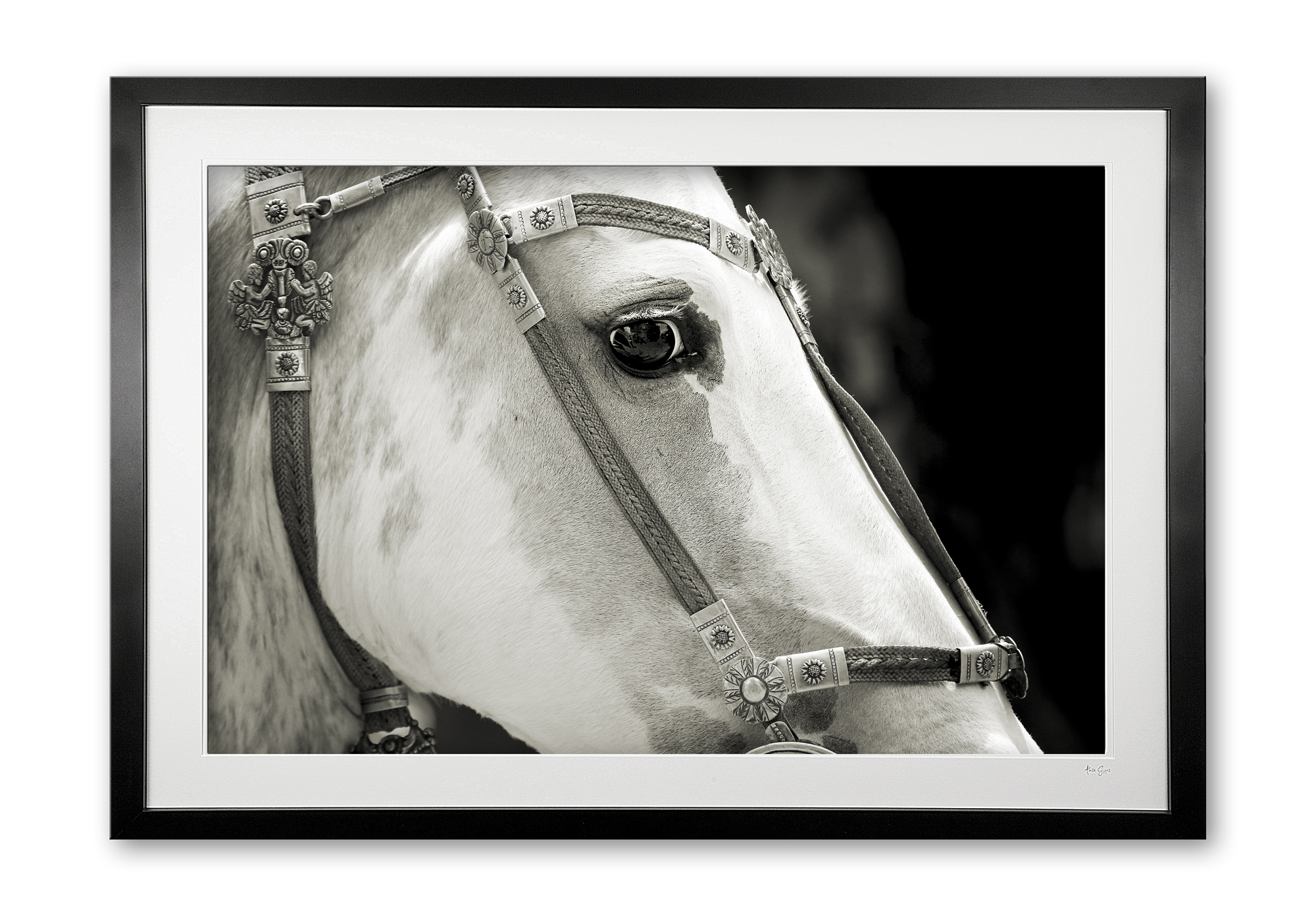 132_c__pretty_palamino_iiie56g9775_sepia_framed