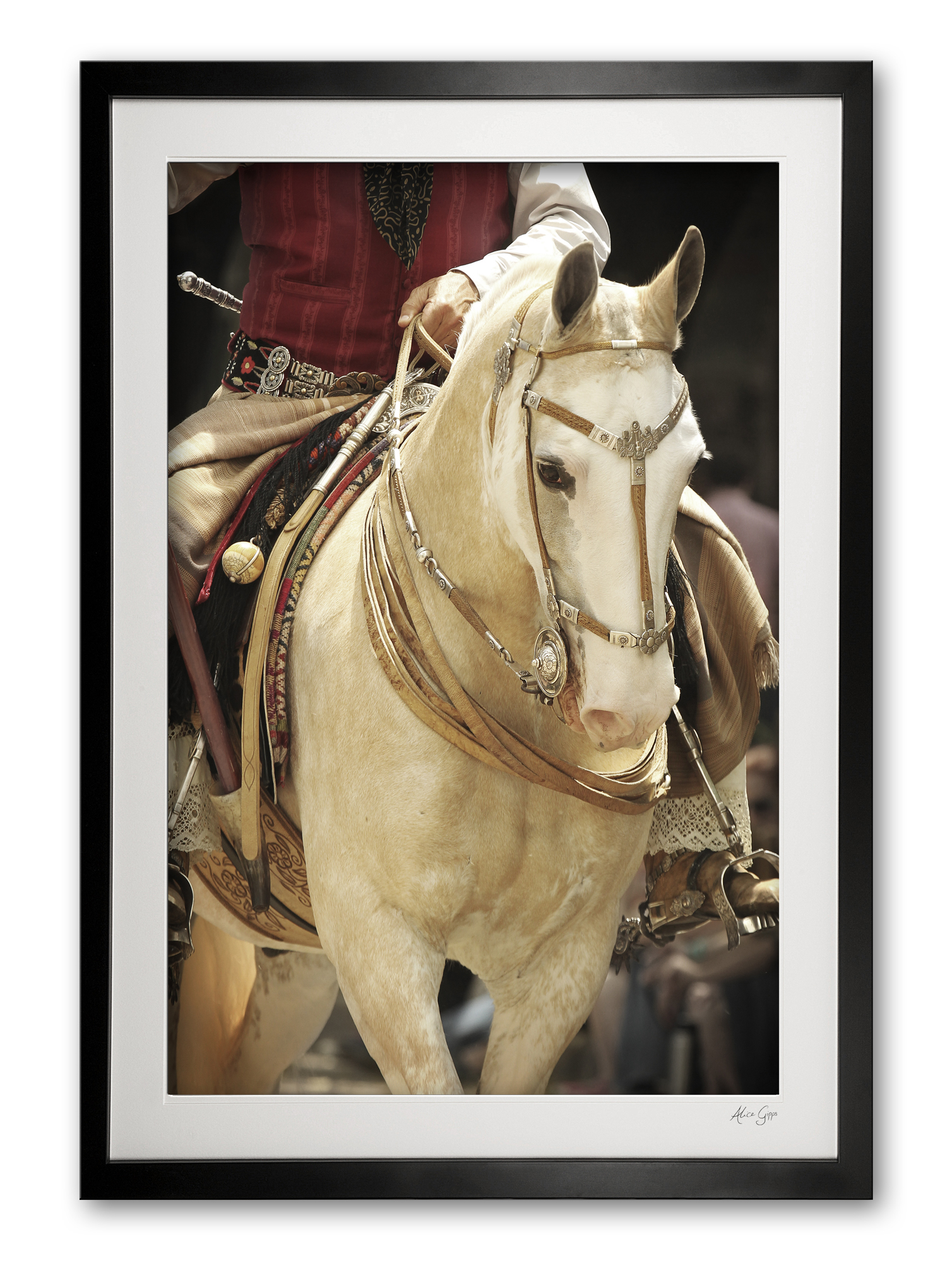 132_d__pretty_palamino_iv_e56g9755_framed