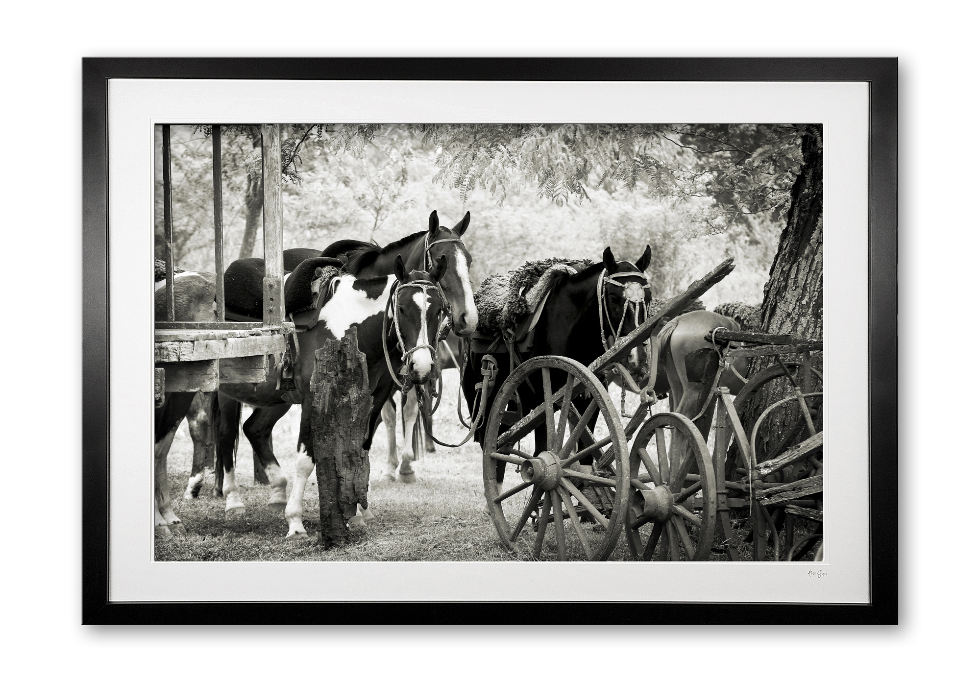 134_b___rustic_ponylines_e56g0242_sepia_framed