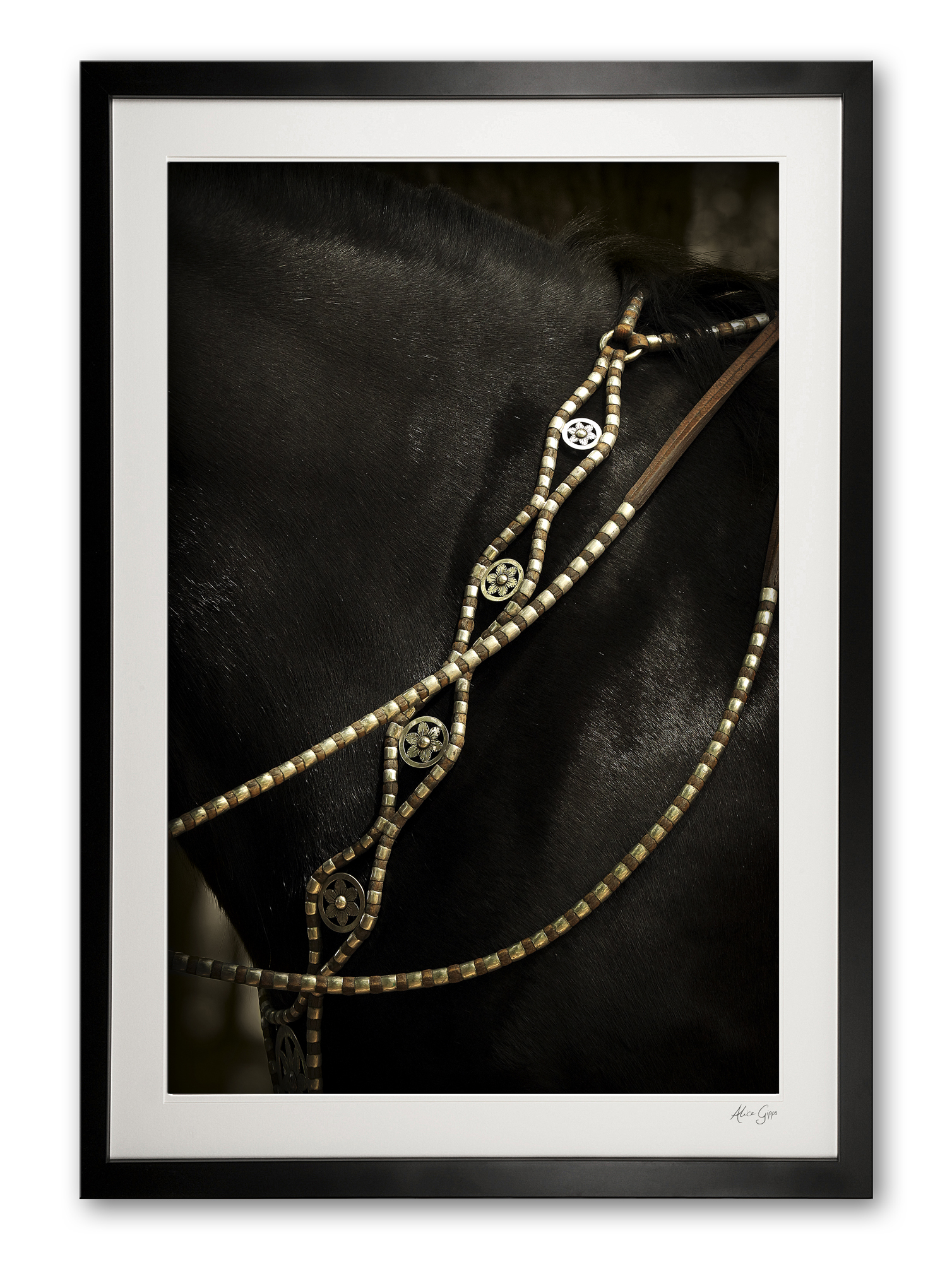 136_a__silver_breast_plate_detail_i_e56g9265_1_framed