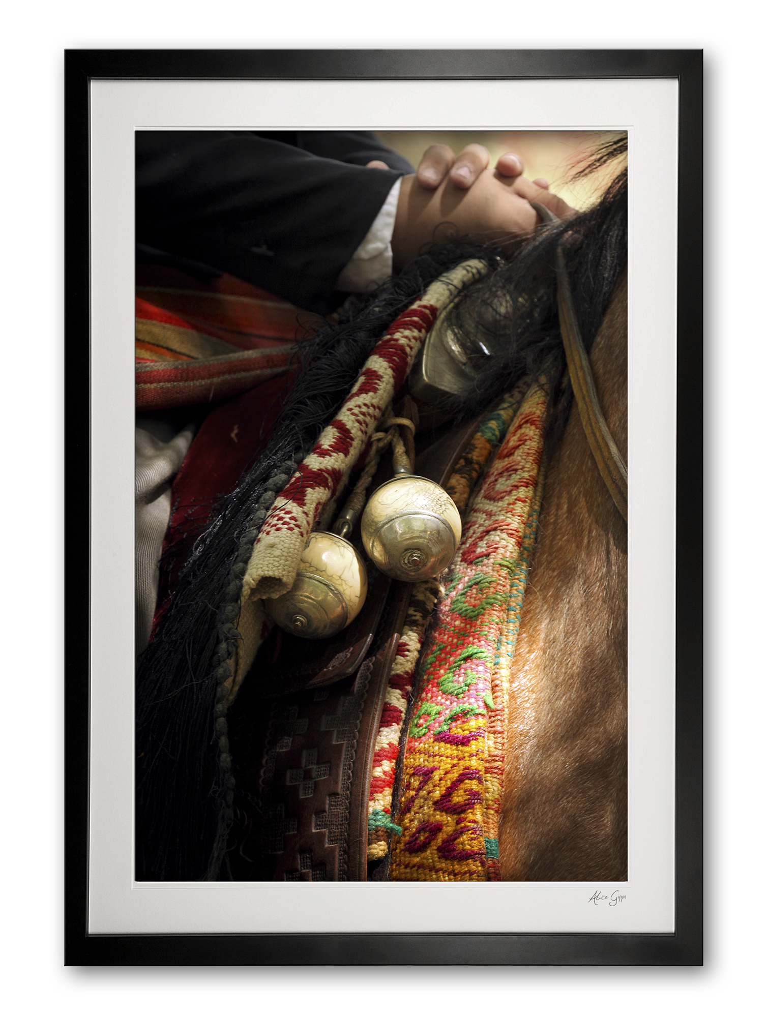 137_b__bolas_i_e56g9235_framed