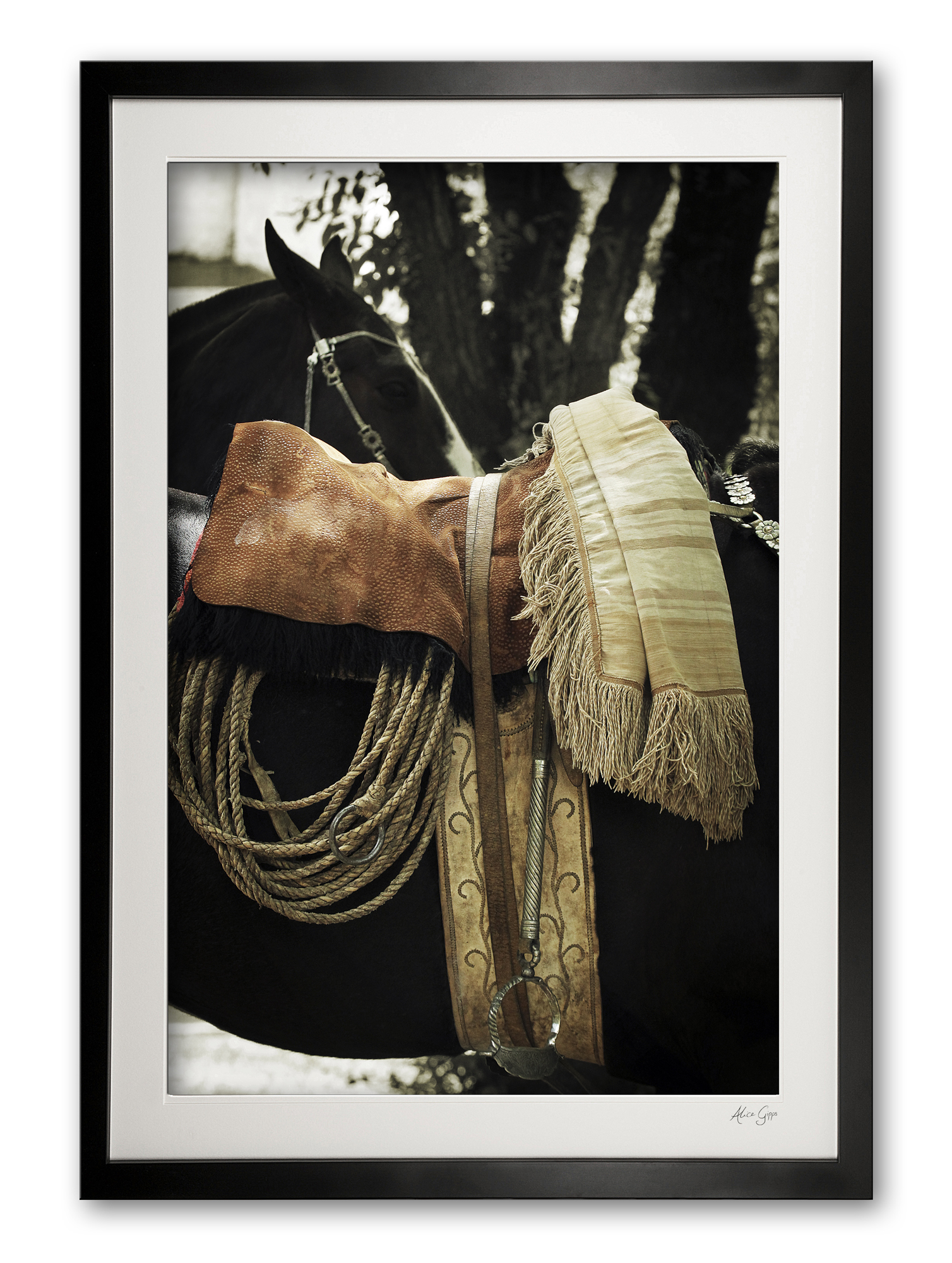 137_c__traditional_recardo_detail_i__e56g9326_framed