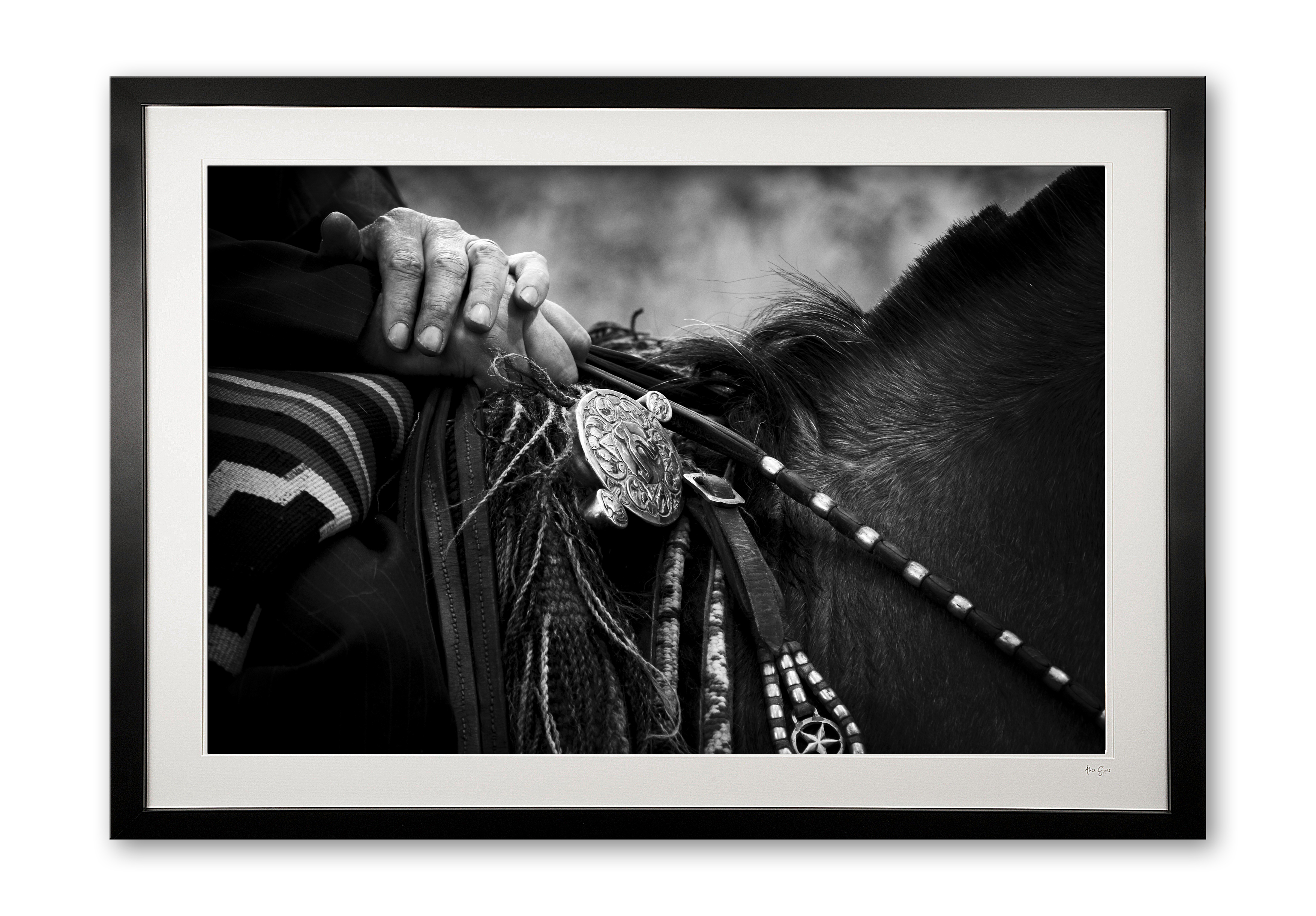 137_e_silver_recardo_detail_ii_framed_specail_edition_of_25