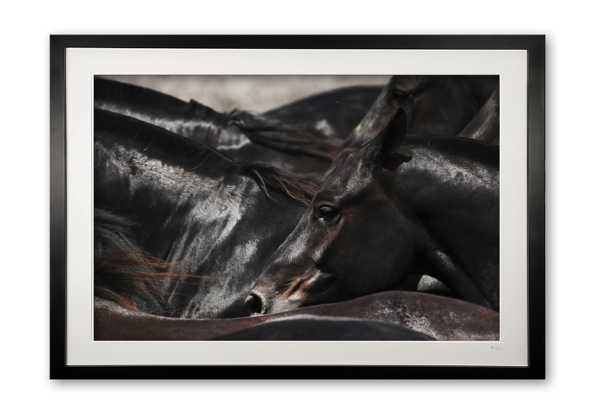 139__madeira_e56g2204_framed