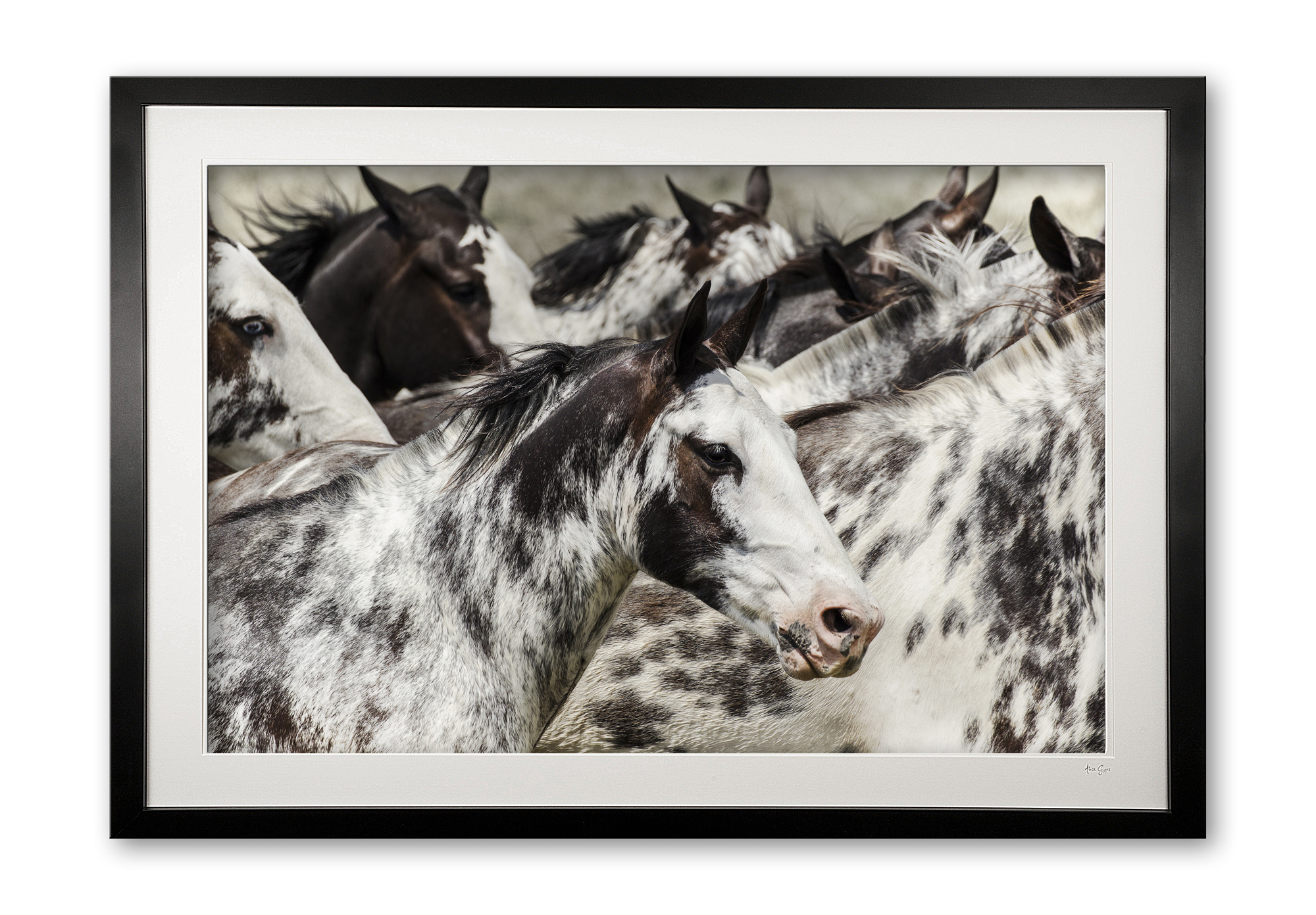 140__los_overos_e56g2227_special_edition_of_25_framed