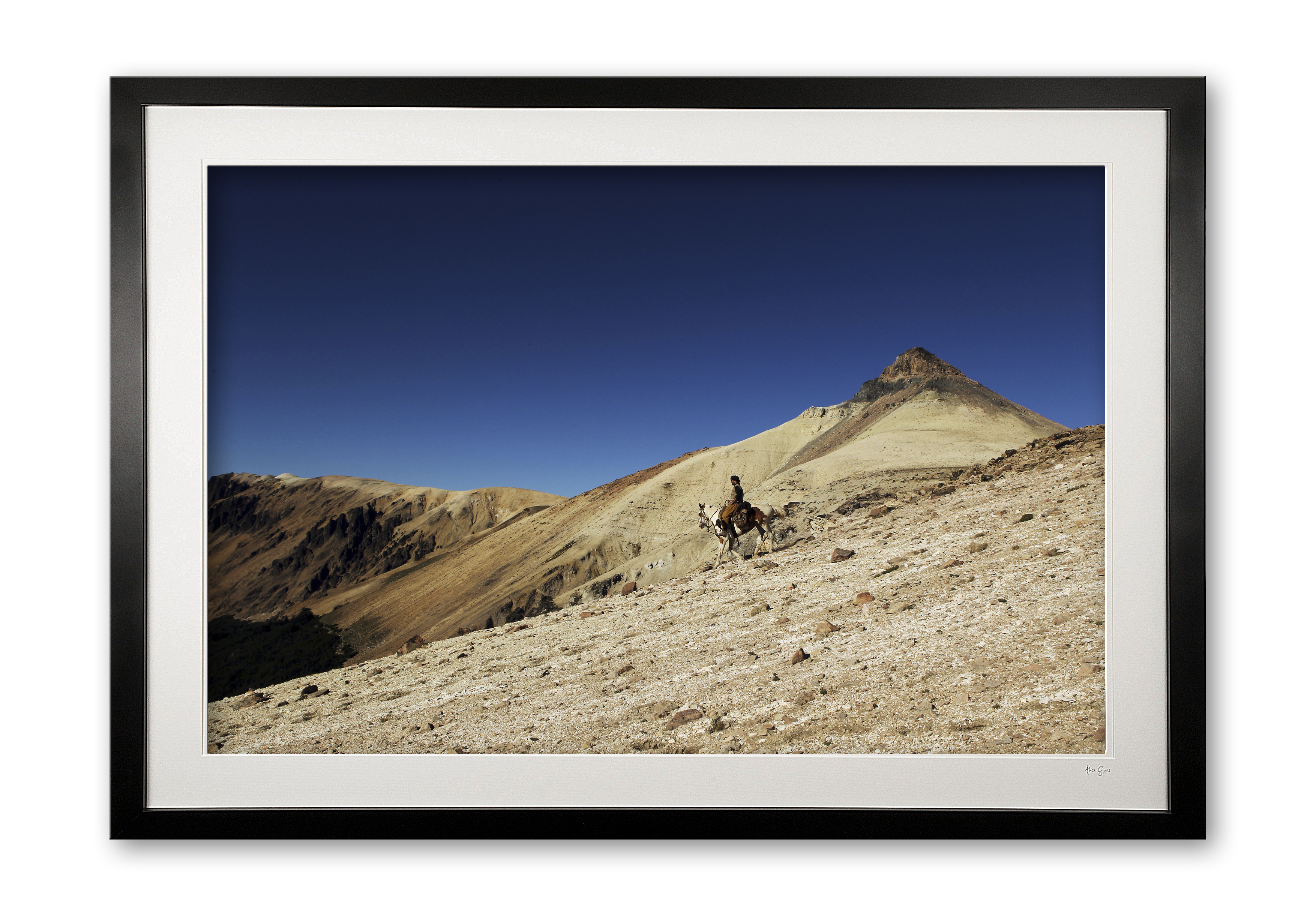 144_c__homeward_bound_e56g2684_framed