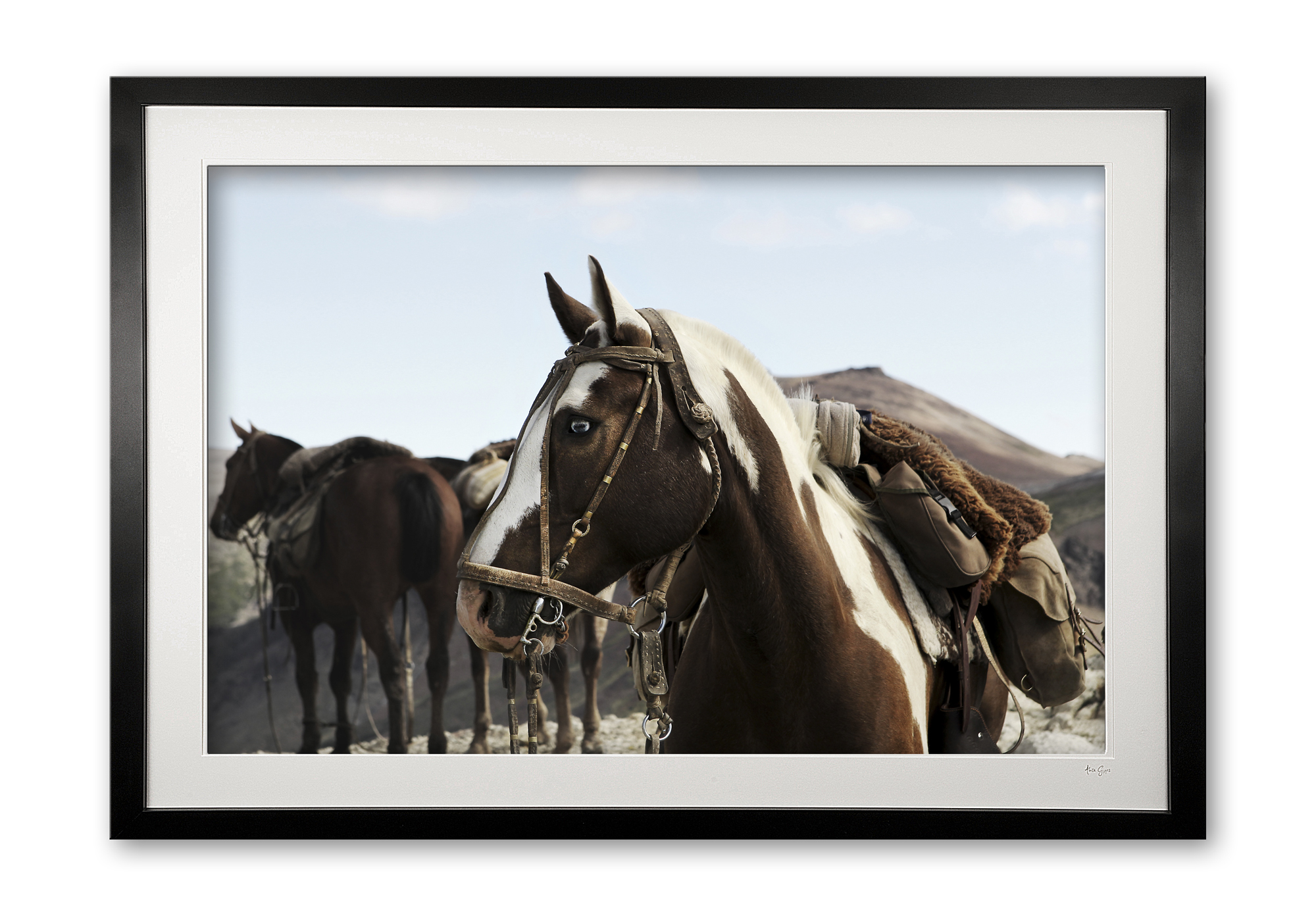 144_e__mo_e56g3945_framed