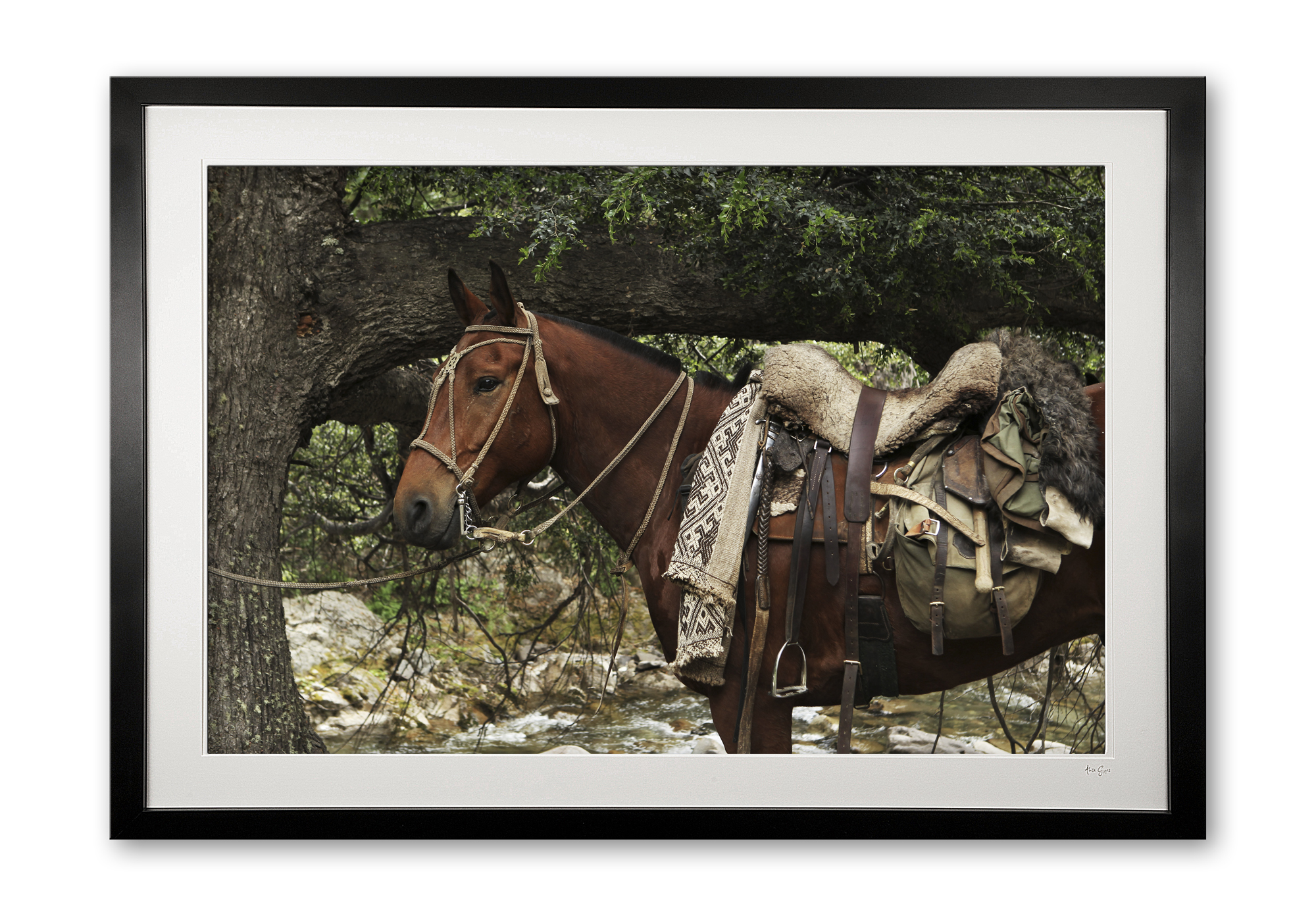 144_j__gaucho_gear_ii_e56g4574_framed