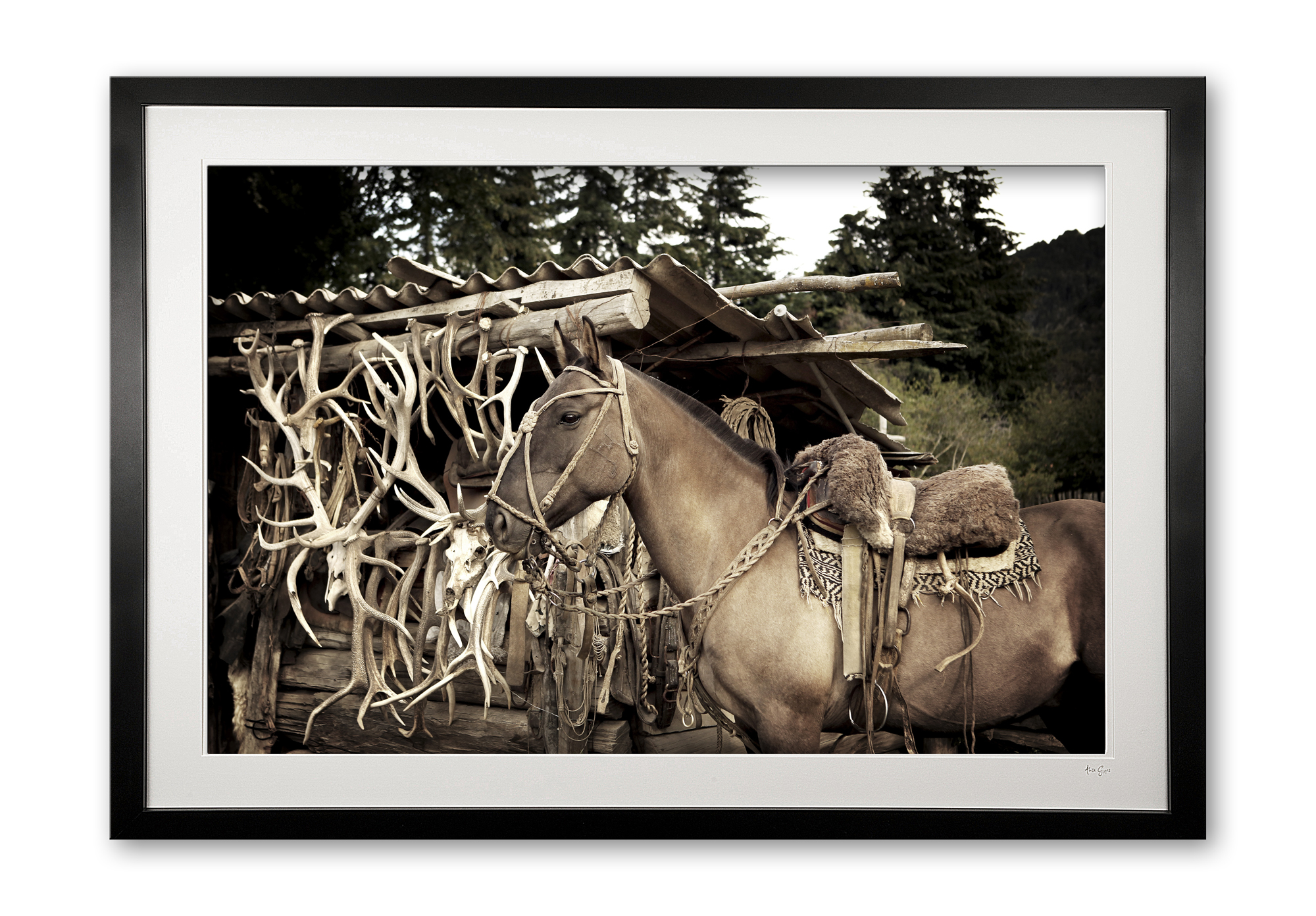 144_k__gaucho_gear_iii_e56g4804_framed