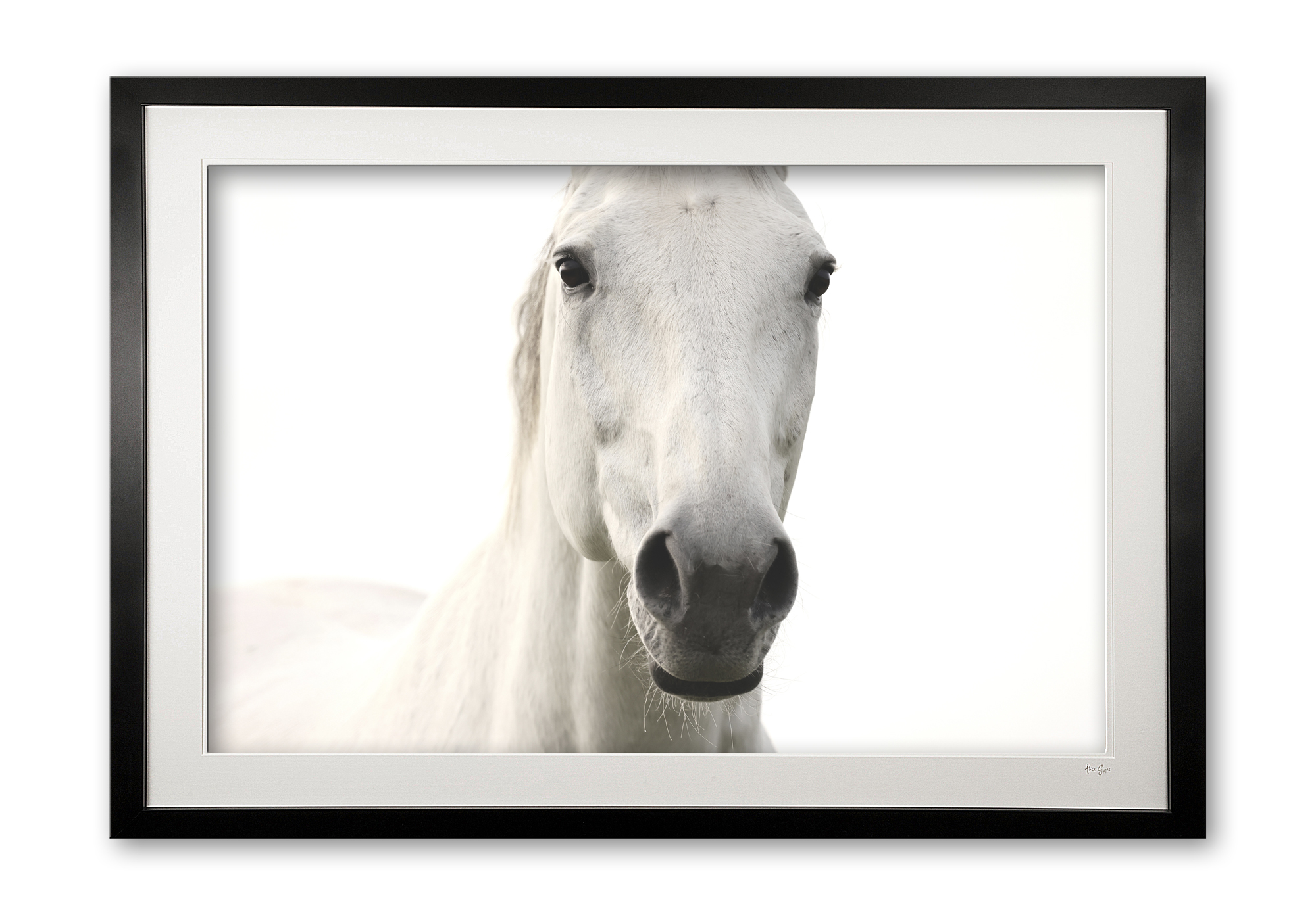 145_b__caspar_ii_0e5a9860_1_framed