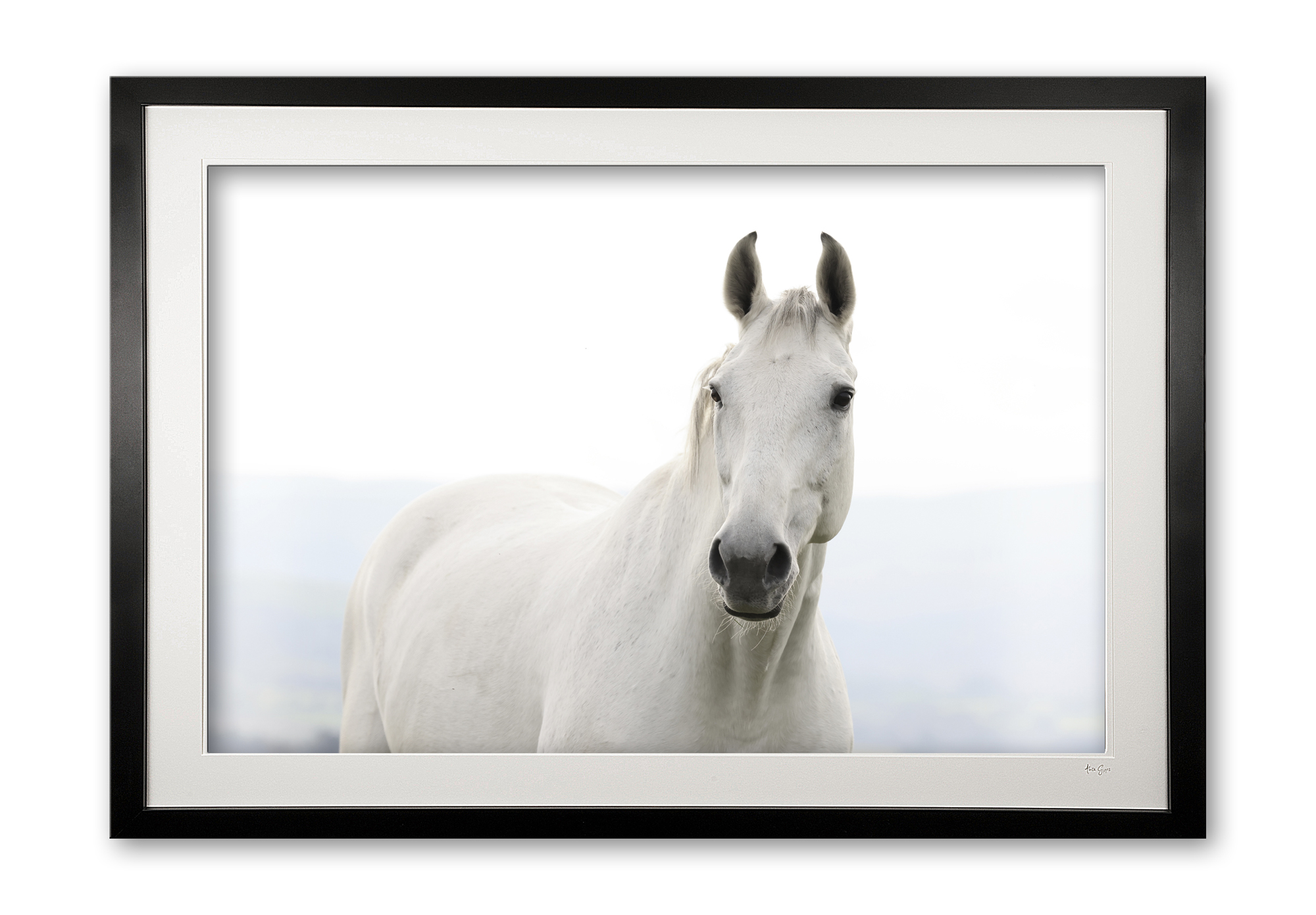 145_c__caspar_iii_0e5a9905_framed