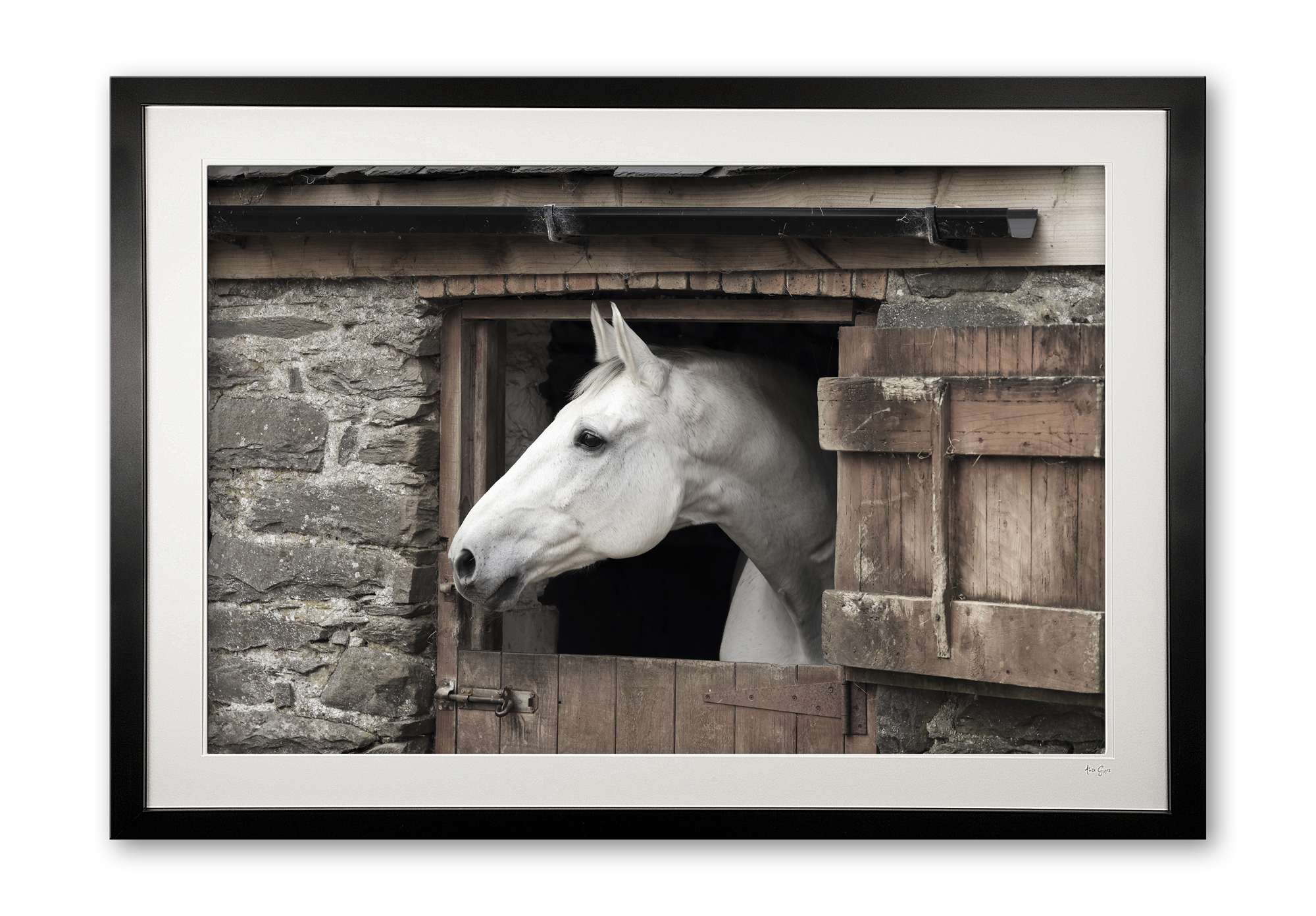 145_d__caspar_iv_0e5a9494_fade_framed