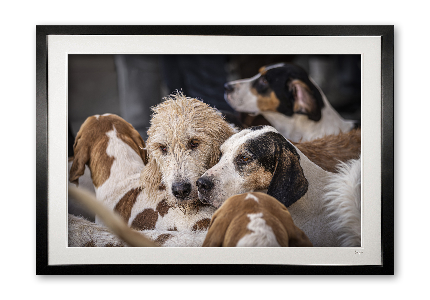 149_f__uncertain_future