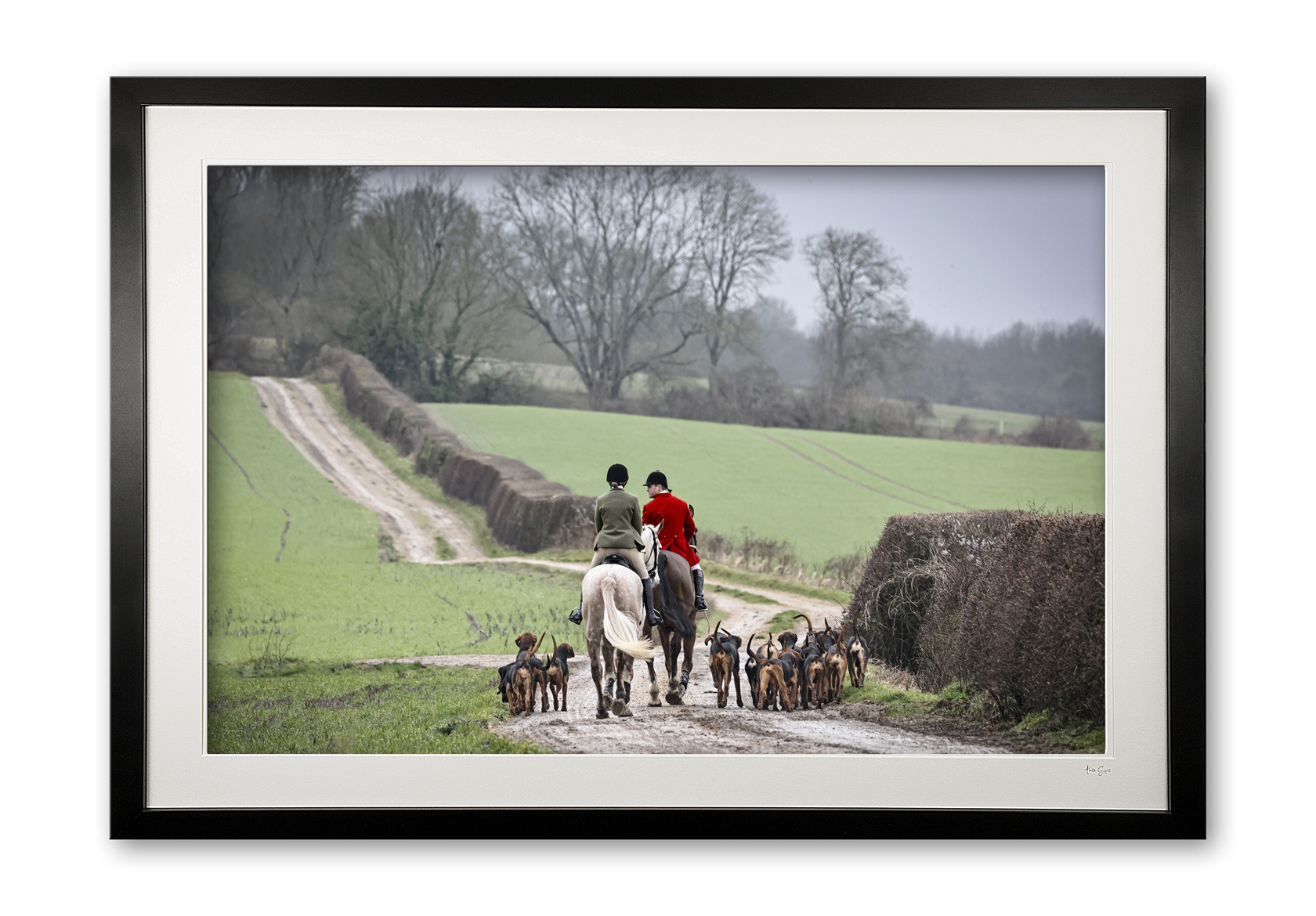 150_c__the_rural_pursuit_ii