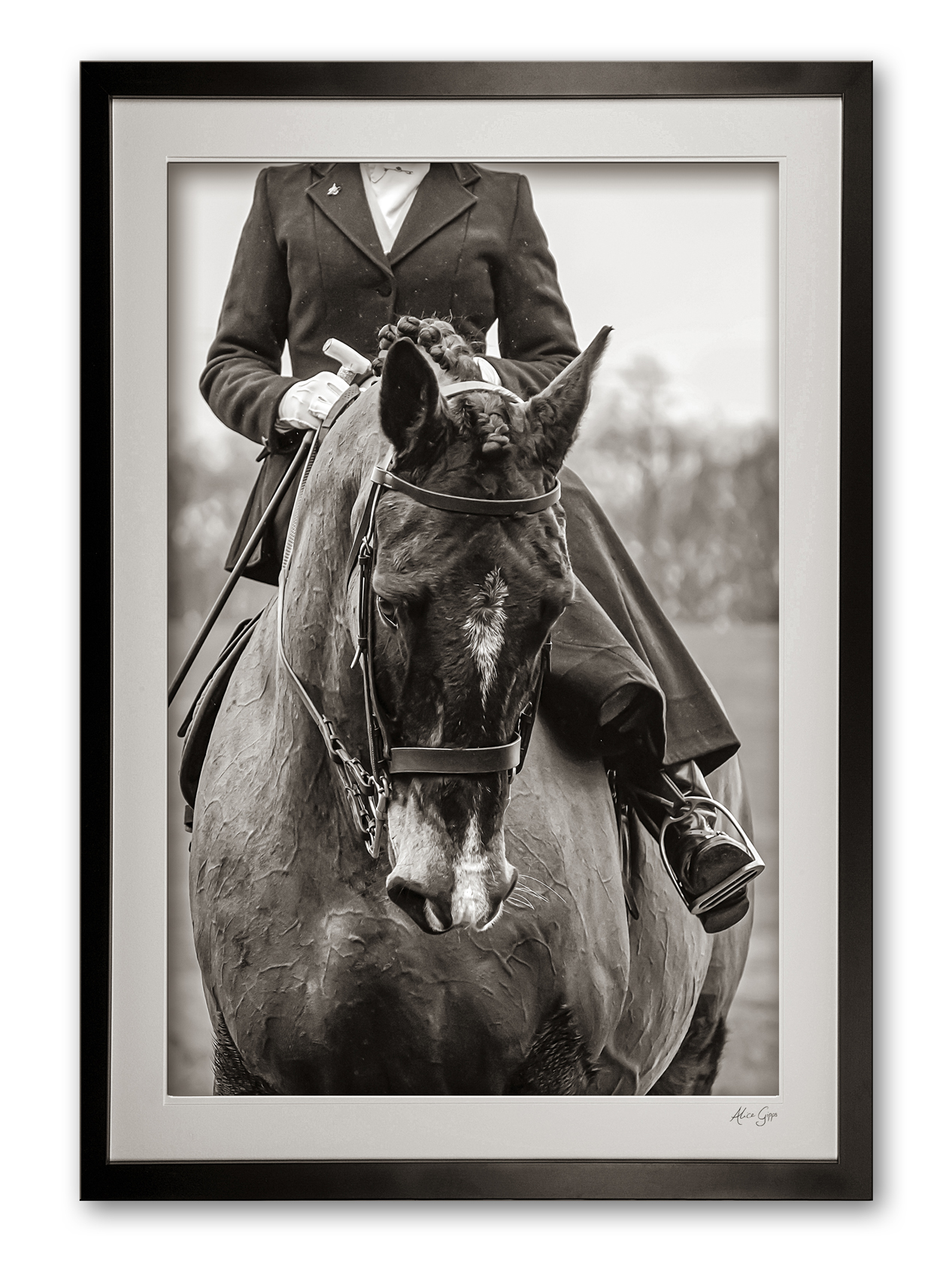 151_g__sidesaddle_elegance_ii_sepia