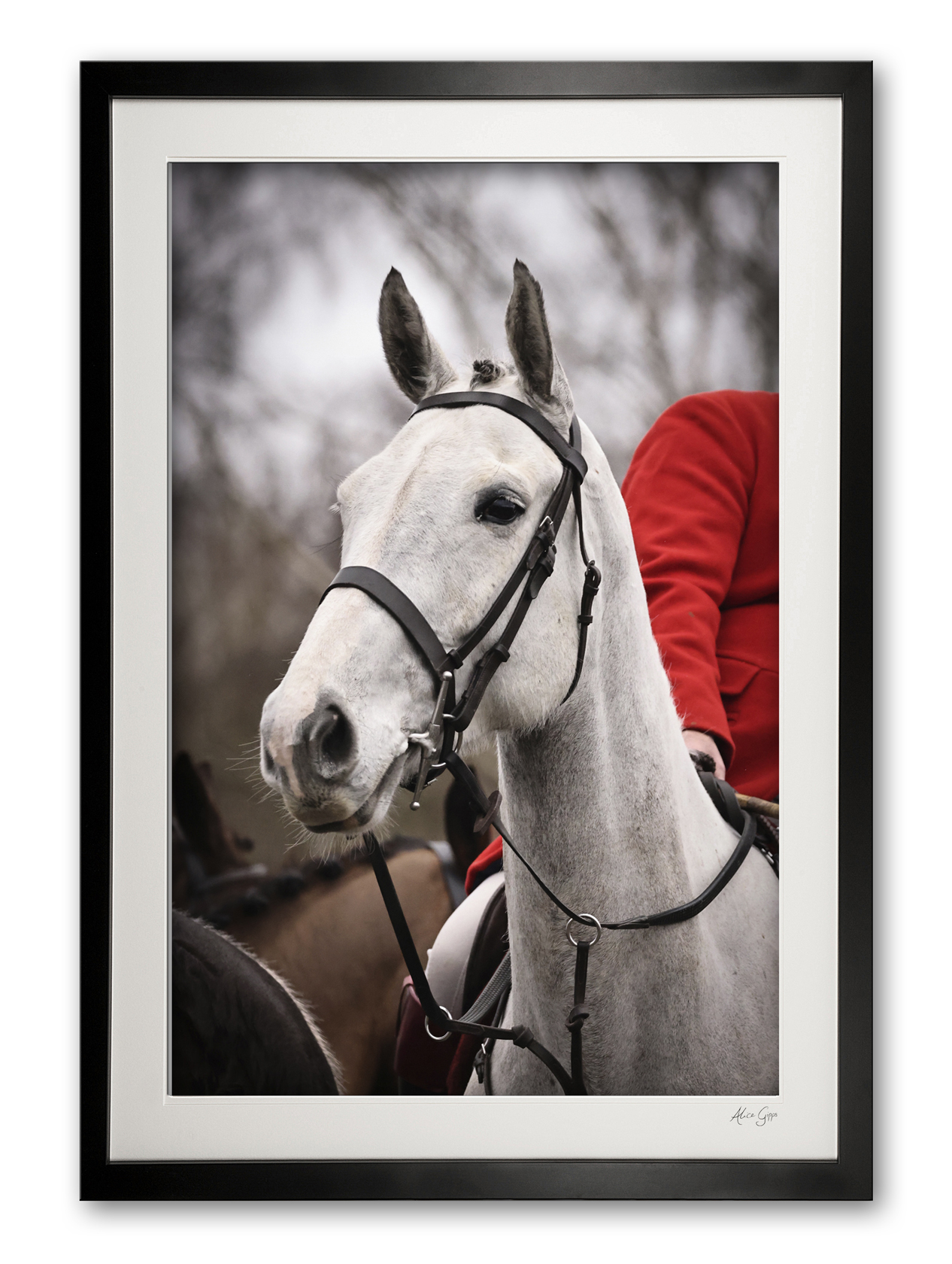 151_j__hunt_horse_ii_copy