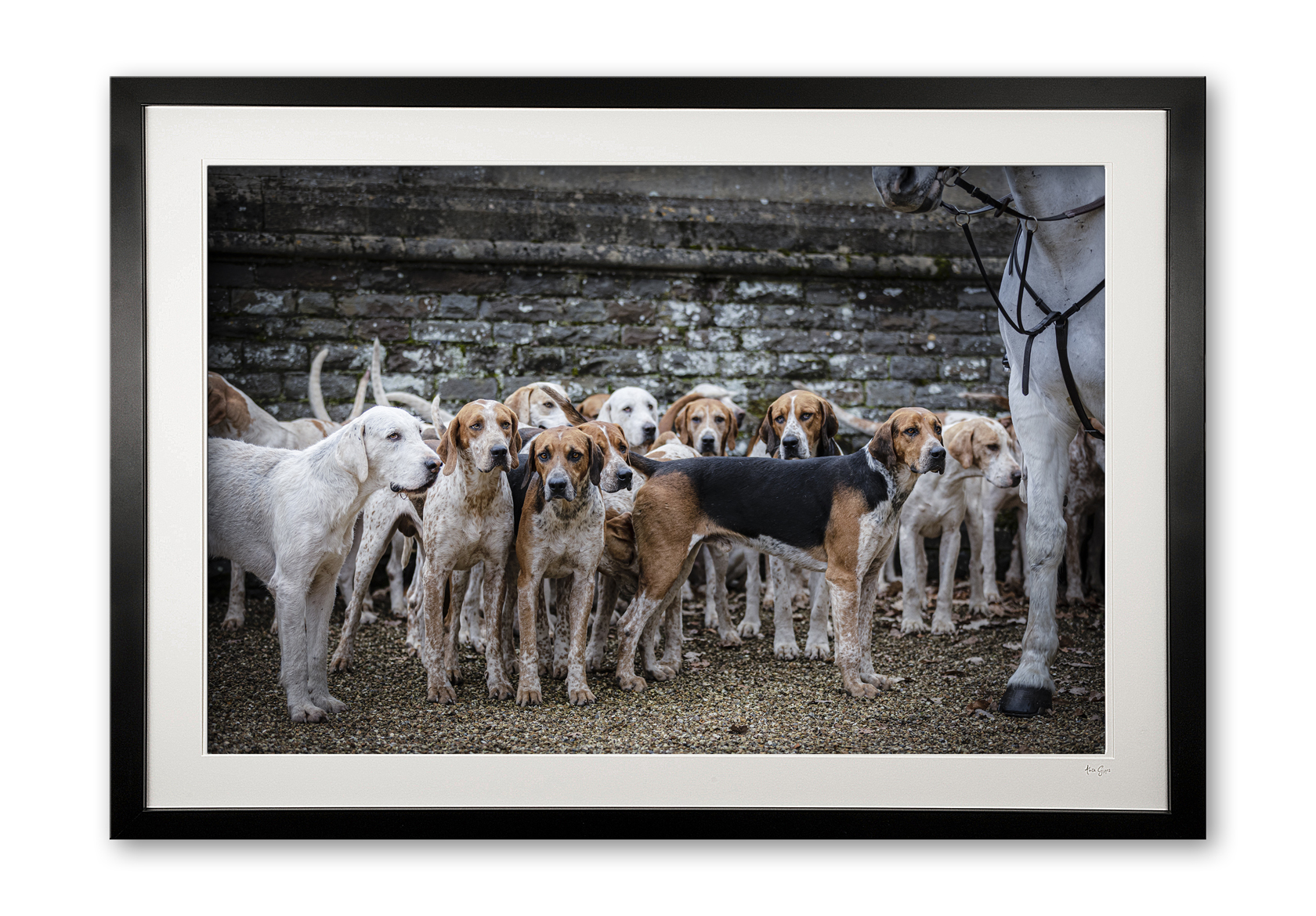 151_n__hooves_and_hounds_v