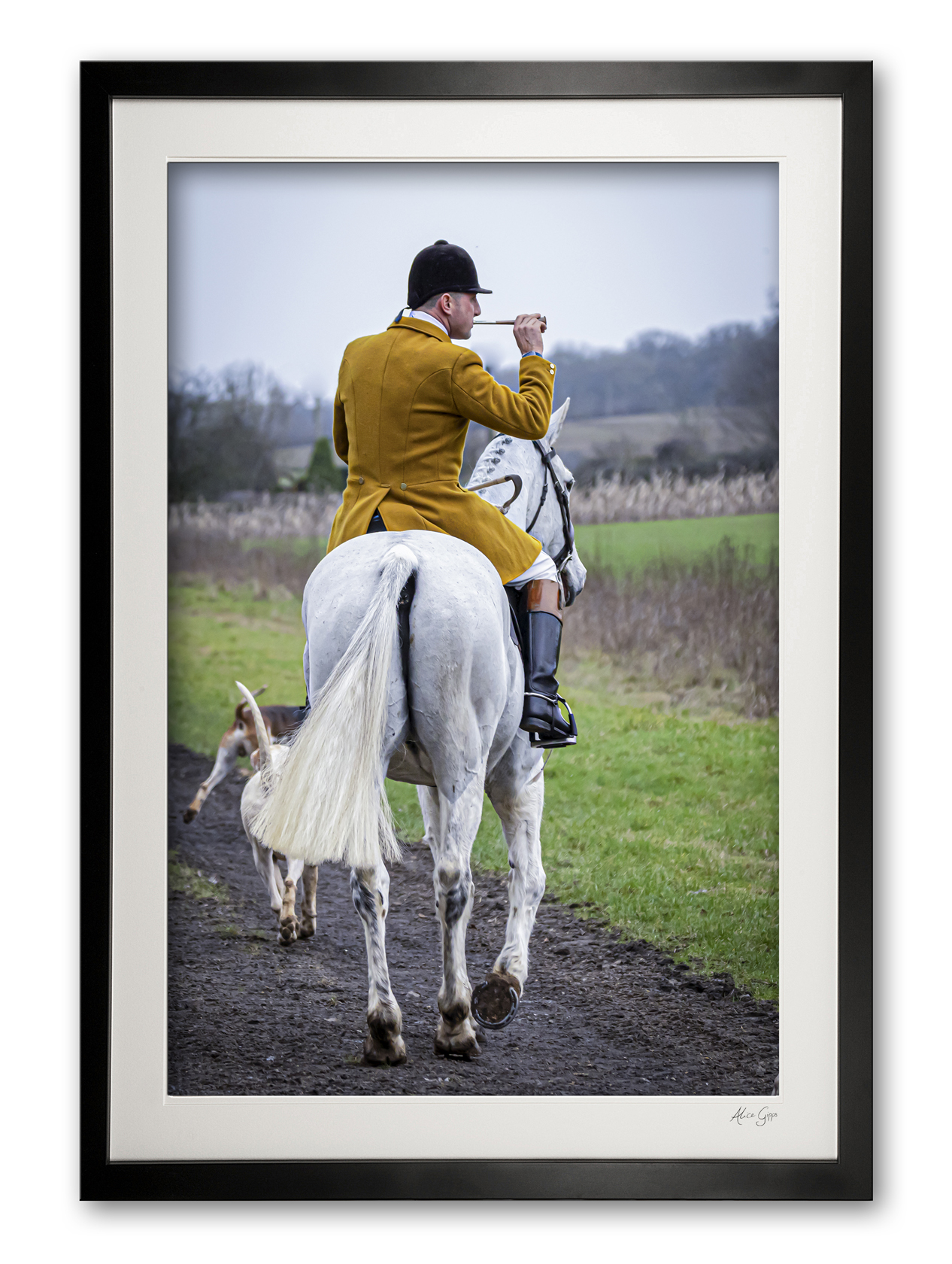 151_o__the_call_of_the_horn