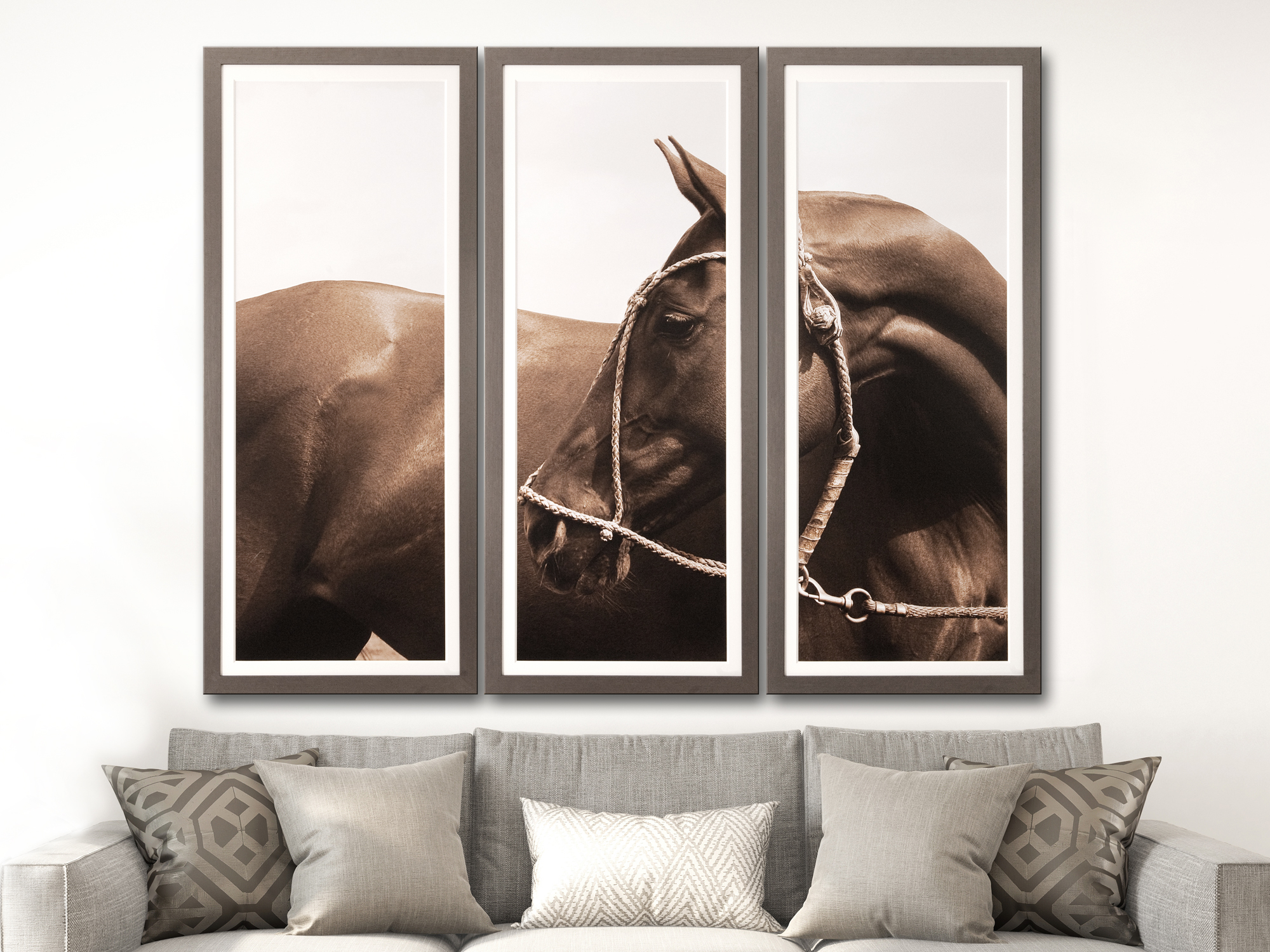 adobestock_239394992_triptych