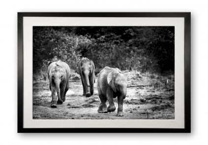 00018_sheldricks_children_black_cubix_limited_edition_of_50_framed_846024536