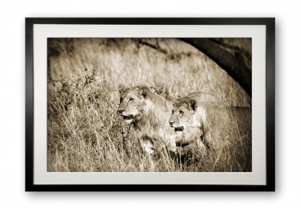 00033_stalking_iii_cubix_special_editionof_25_framed_1333245525