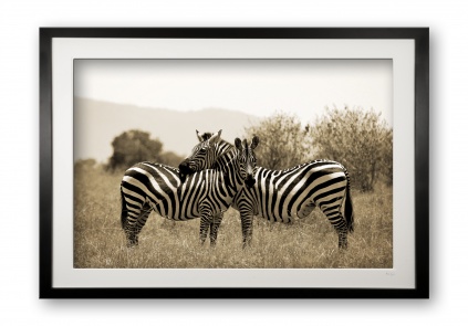 00034_friends_cubix_special_editionof_25_framed_1792518031