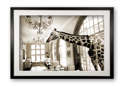 00046_breakfast_companion_cubix_-_special_edition_of_25_framed_277291467