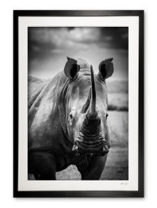 00067_a__the_last_of_us_white_rhino_-_se_of_25_solio_donation_image_framed_0e5a723
