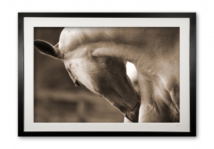 004__relax_075x1194_framed