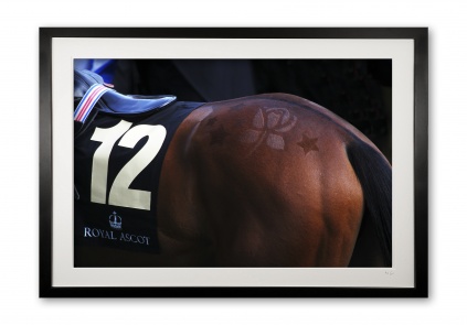 048_f__racing_detail_i_e56g6191_special_edition_of_25_1140005309