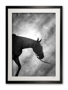 053__palermo_magic_bw_special_edition_of_25_framed