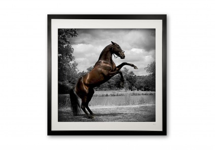 100_don_urgano_rolinga_e56g9176_special_edition_framed_1158723468