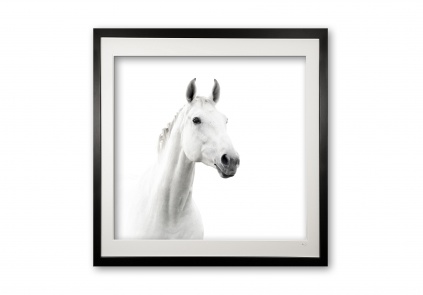 145__caspar_bw_framed_1569431373