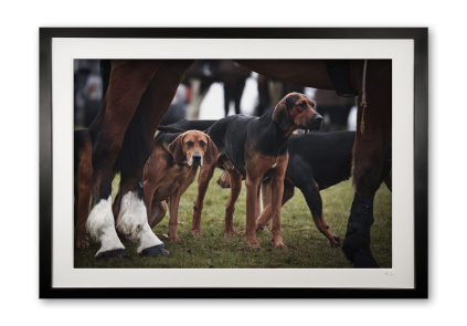 150_a__hooves_and_hounds_ii_framed_0e5a7097