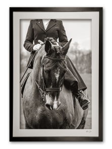 151_g__sidesaddle_elegance_ii_sepia