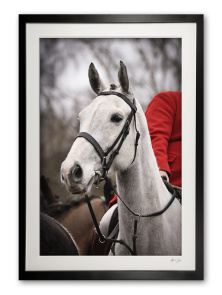 151_j__hunt_horse_ii_copy