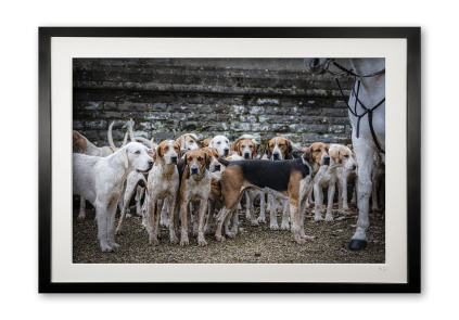 151_n__hooves_and_hounds_v