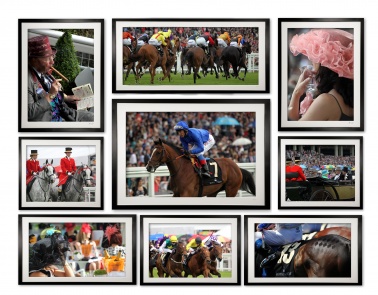 collection_ii_of_9_assorted_cubix_-_ascot_races1