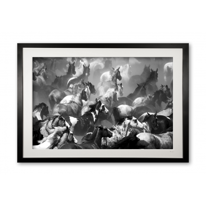 001_c__tropillas_in_black__white_e56g9039_framed_edited