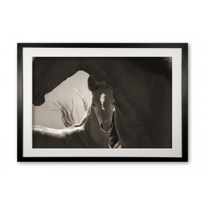021__mother__son_img_1219__framed