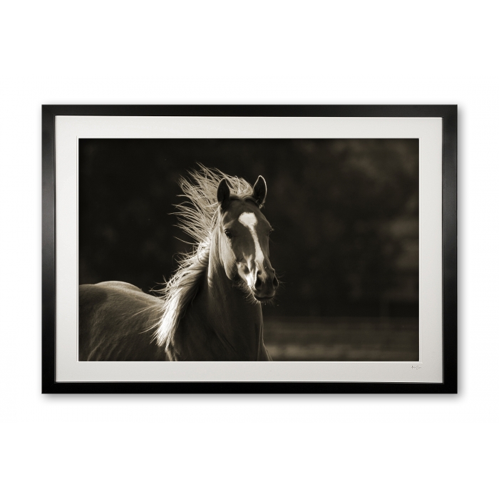 022__freedom_075x9801_framed